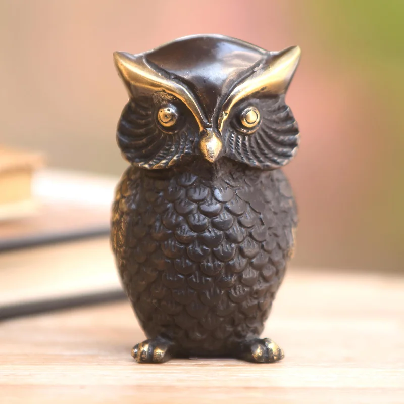 - Pet monitor with cameraDark Owl Antiqued Brass Owl Figurine Crafted in Bali