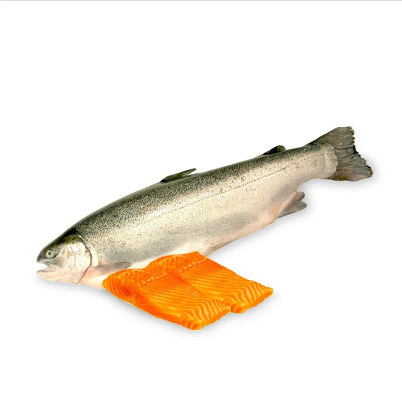 - Postoperative pet anti-licking Elizabethan collarChilled Norwegian Fjord Trout Fillet 200g+/-