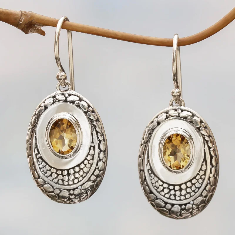 - Winter warm clothes for short-haired dogsYellow Brilliance Citrine and Sterling Silver Dangle Earrings from Indonesia