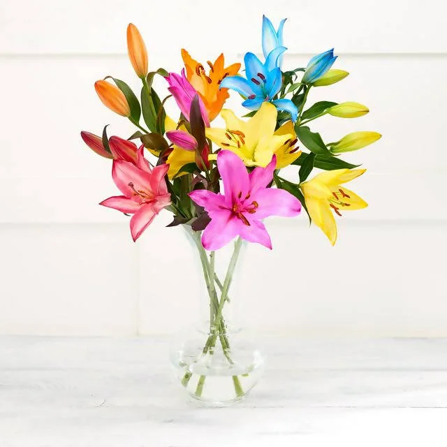 - Air box TSA certified check-inSainsbury's Fun Flowers Dyed Lilies