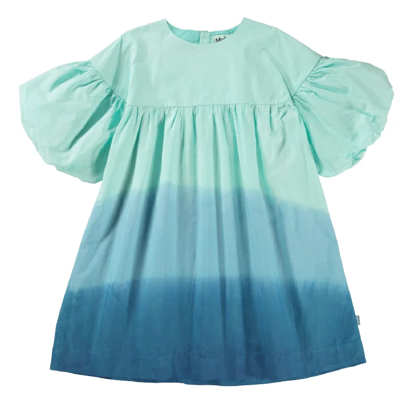 - Pet diabetes prescription foodMolo Blue Dip Dye Catherine Dress