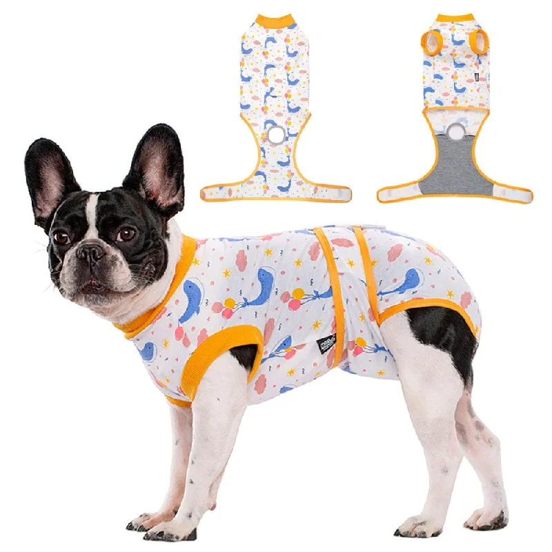 Pet walking leash setKUTKUT Recovery Suit for Dogs Cats After Surgery, Professional Pet Recovery Shirt Dog Abdominal Wounds Bandages, Substitute E-Collar & Cone, Prevent Licking Small Dog Onesies ( Orange )