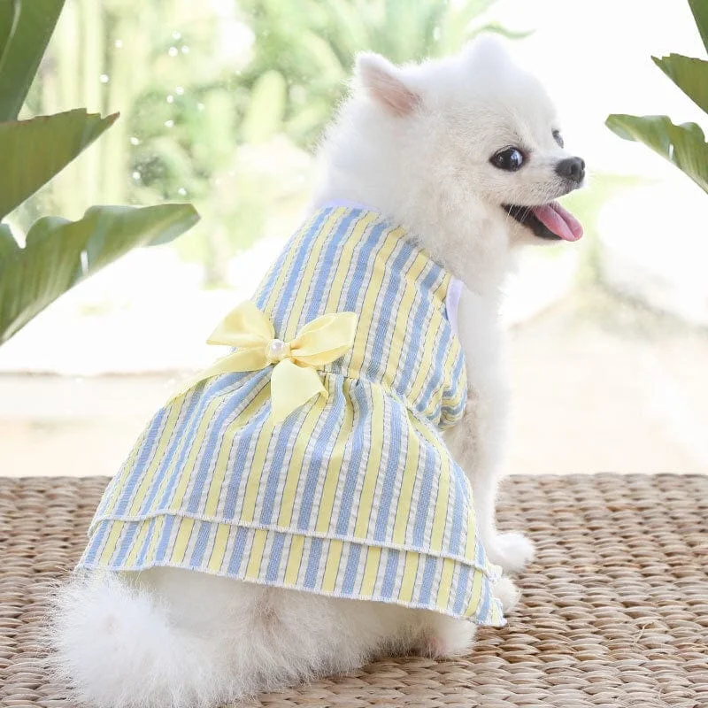 Winter warm clothes for catsKUTKUT Stripe Dress for Small Dog Girl Puppy Clothes Female Princess Tutu Skirt Summer Shirt for Shih Tzu, Maltese Cat Pet Apparel Outfits