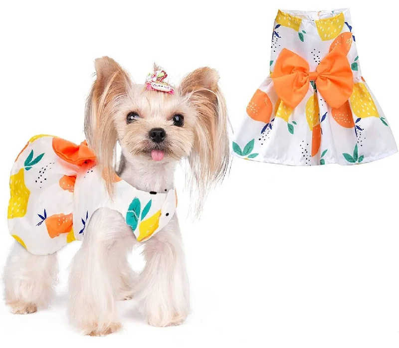 Focus on health and safety:KUTKUT Cute Lemon Pattern Dog Dress with Lovely Bow Pet Apparel Dog Clothes for Small Dogs and Cats | Puppy Summer Dress Birthday Pet Apparel Dress ( Orange )