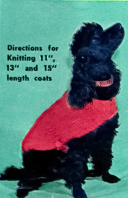 Pet ProductsDoggie Windbreaker Pattern